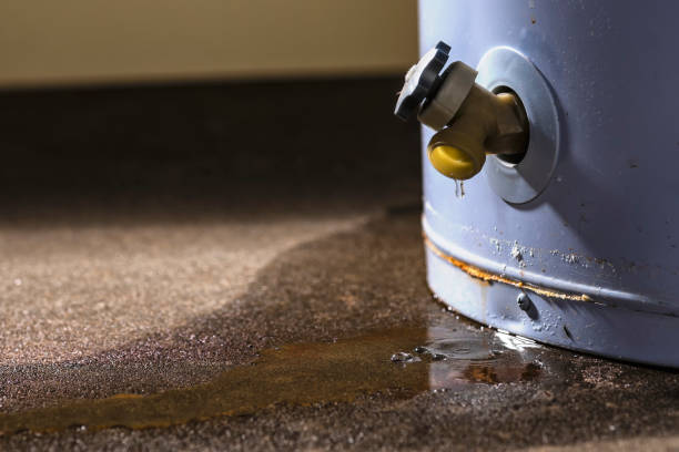 Best Flood damage cleanup  in Mount Healthy, OH