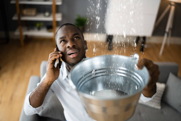 Best Water damage cleanup near me  in Mount Healthy, OH