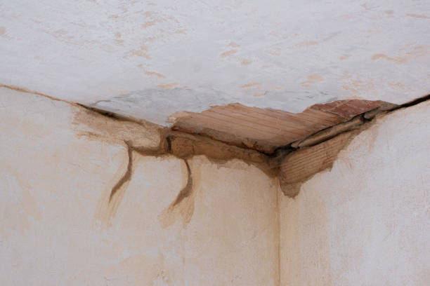 Best Carpet water damage restoration  in Mount Healthy, OH