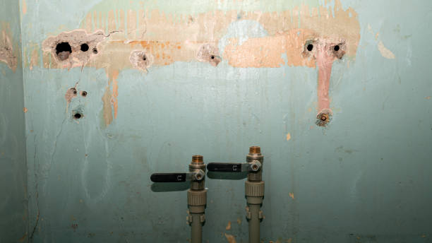 Best Commercial water damage restoration  in Mount Healthy, OH